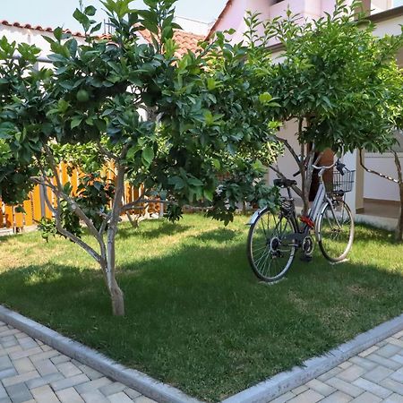 Guest House Esanbja Berat Exterior photo